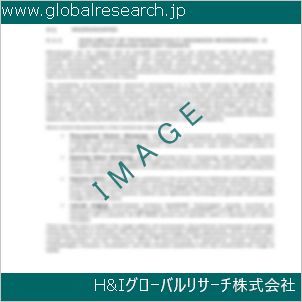 グローバルリサーチ調査資料のイメージ